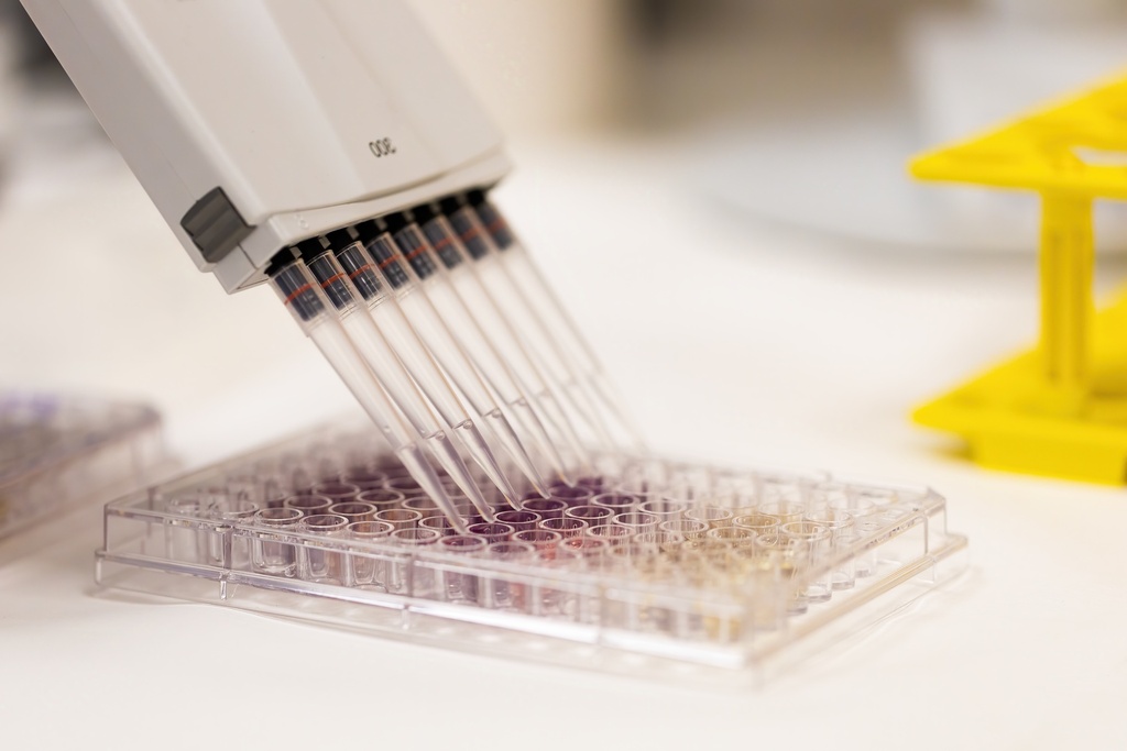 96-Well Skirted PCR Plate, Natural 4 x 25 plates