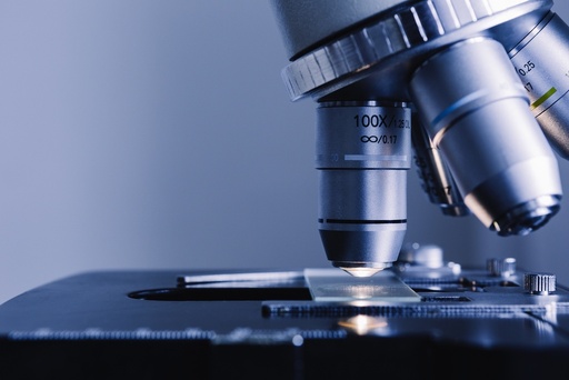 [ SR10051PA-1] Human GFAP Differentiation Reporter (pRedZeo, Plasmid)   