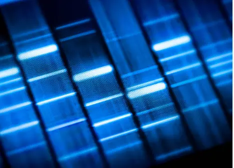 Course 1: Real-Time PCR (qPCR)
